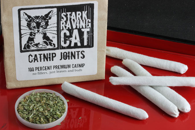 Catnip-Joints-For-Cats
