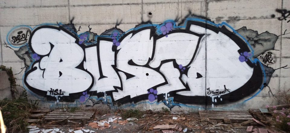 Spray_Wars-Busted-Graffiti-17-goldworld